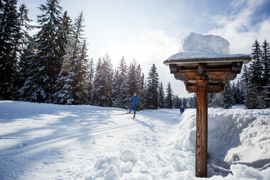 Ski de fond aux Saisies