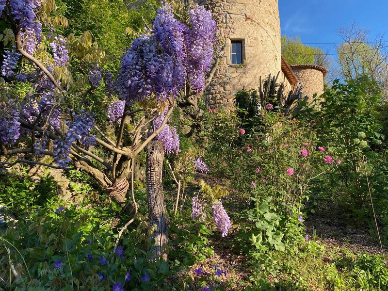 Château du Pin_Fabras