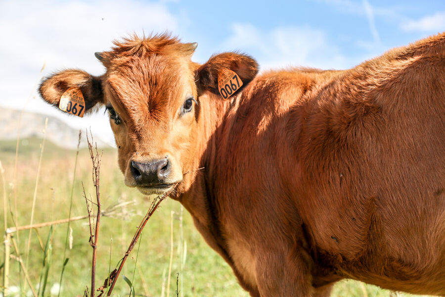Itinéraire VAE - La vallée des Avals - Courchevel