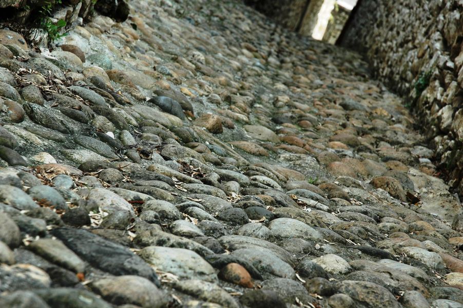 Muette - OTSI Morestel