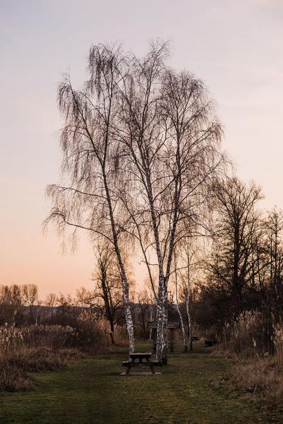 ENS la Save étangs de la Serre