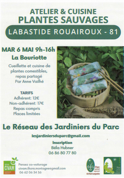 Atelier : Cuisine de plantes sauvages_Labastide-Rouairoux