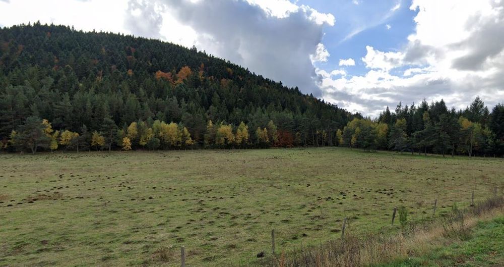 Aire de pique-nique aire du col de la Ventouse