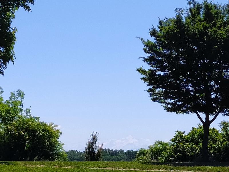 Vue sur le Mont Blanc depuis l'étang de Colovrex Vue sur le Mont Blanc depuis l'étang de Colovrex