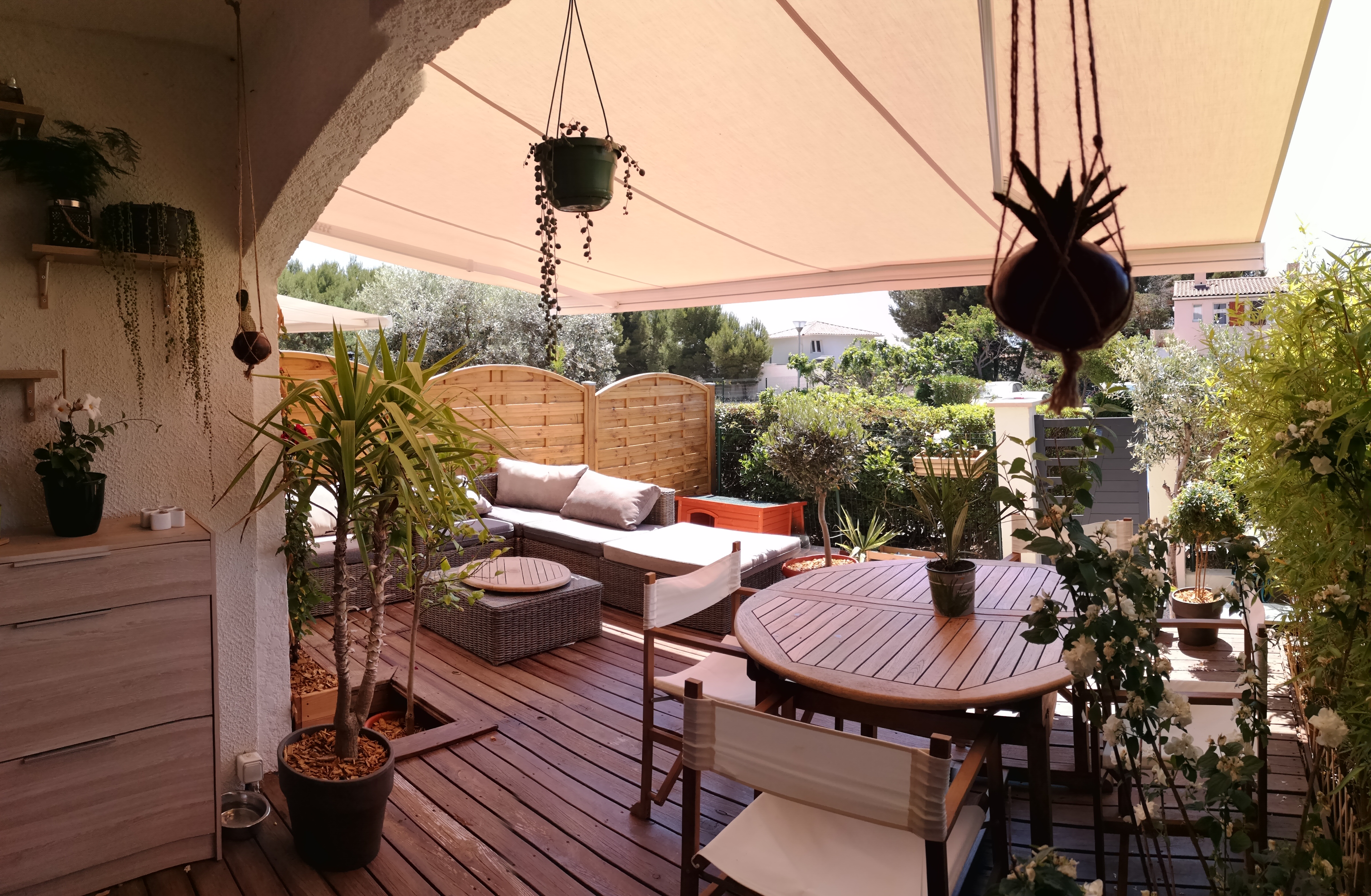 L'OLIVIER (HIVET Laurine)