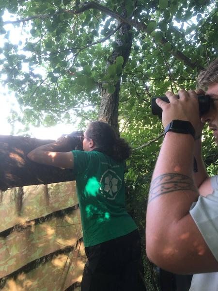 Animation nature sur les ENS : techniques d'affût, observez discrètement la faune sauvage_Hières-sur-Amby