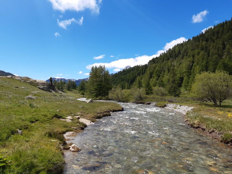 Parcours No Kill en Clarée