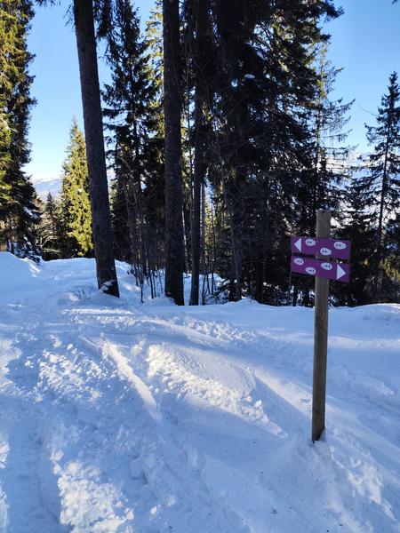 Boucle de l'Avenaz - sentier raquettes_Cordon