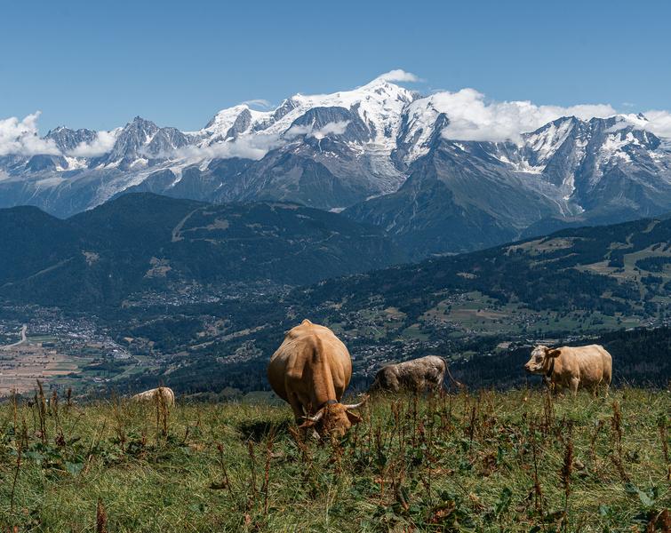 Boucle pédestre des Bénés_Cordon