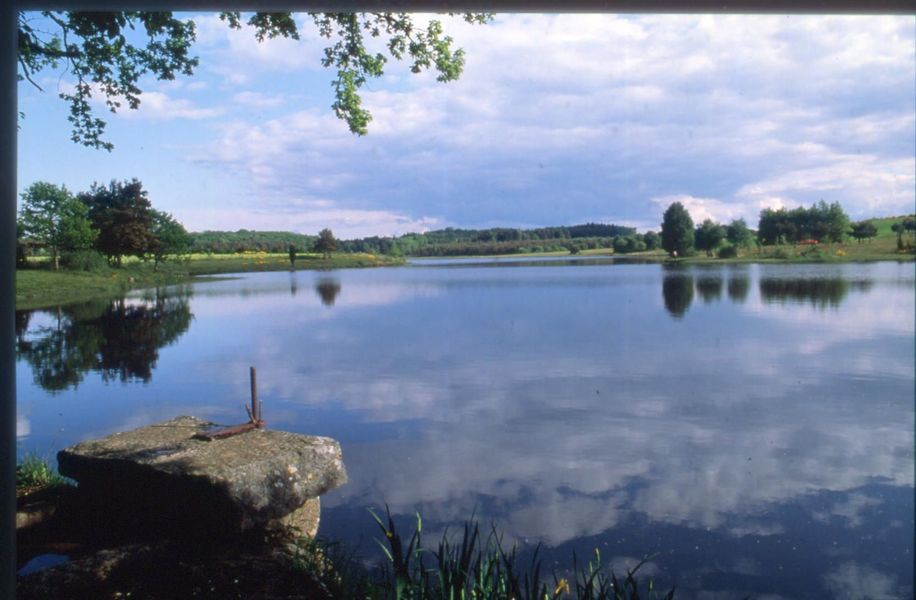Site de pêche - Étang de Farges
