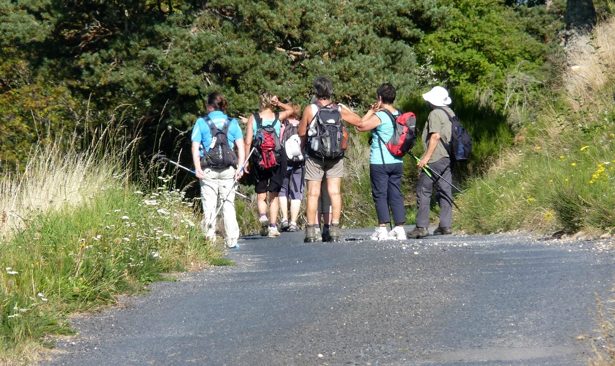 Rendez-vous futés ! : Randonnée pédestre La crête de Brézème (Livron-sur-Drôme, Drôme)