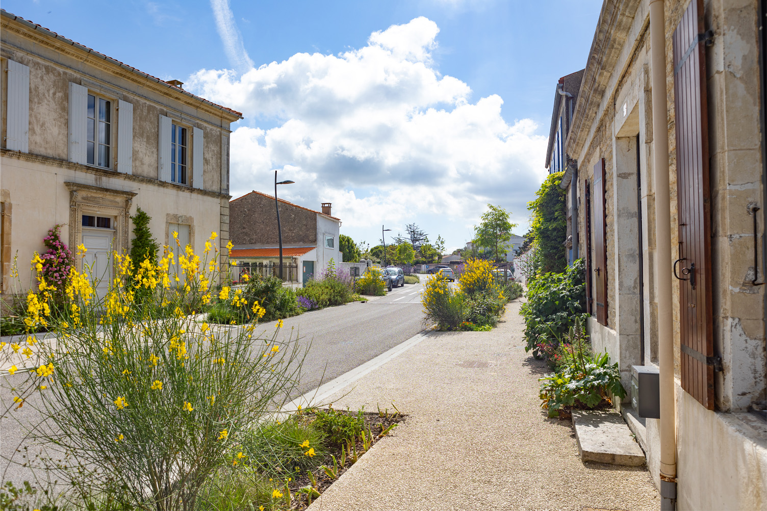 Semaine de l'Arbre & du Paysage : Balade commentée autour des sentinelles des Chardonnerets