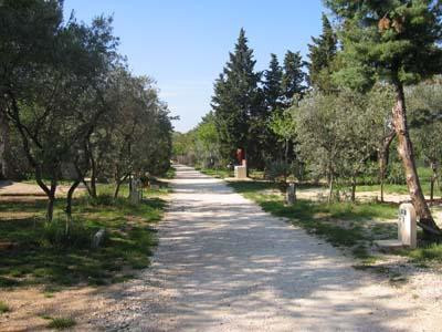 Camping les Oliviers - photo 3