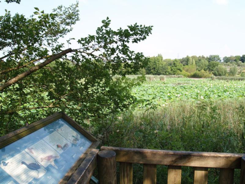 Etang de Fontmerle Mougins