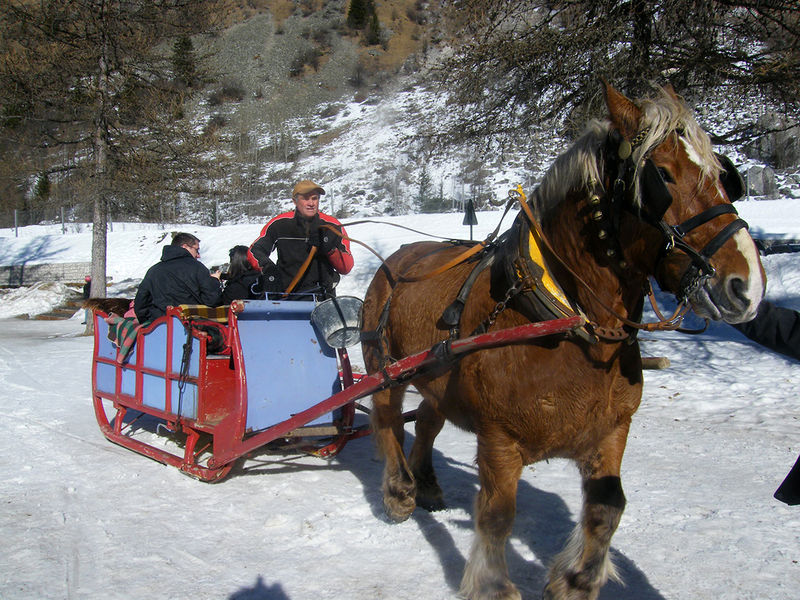 Fer à Cheval Peisey-Vallandry