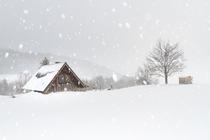 Exposition Loic Perron : Fragments d'hiver_Saint-Pierre-de-Chartreuse