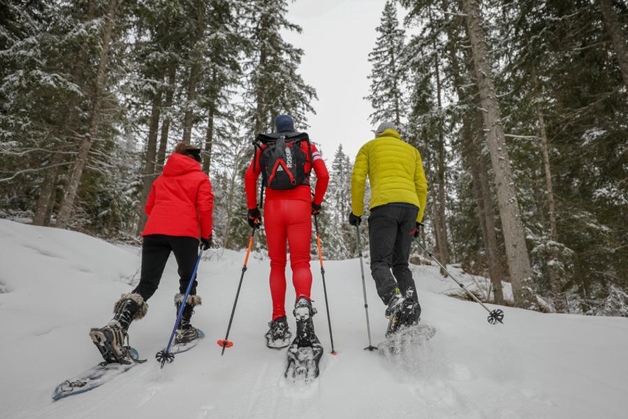 Sortie raquettes à neige_La Chapelle-d'Abondance
