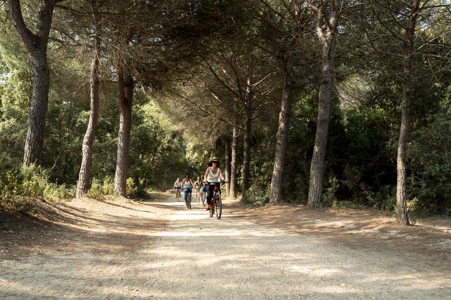 Forfait Porquerolles : Bateau + Vélo + Resto_Hyères