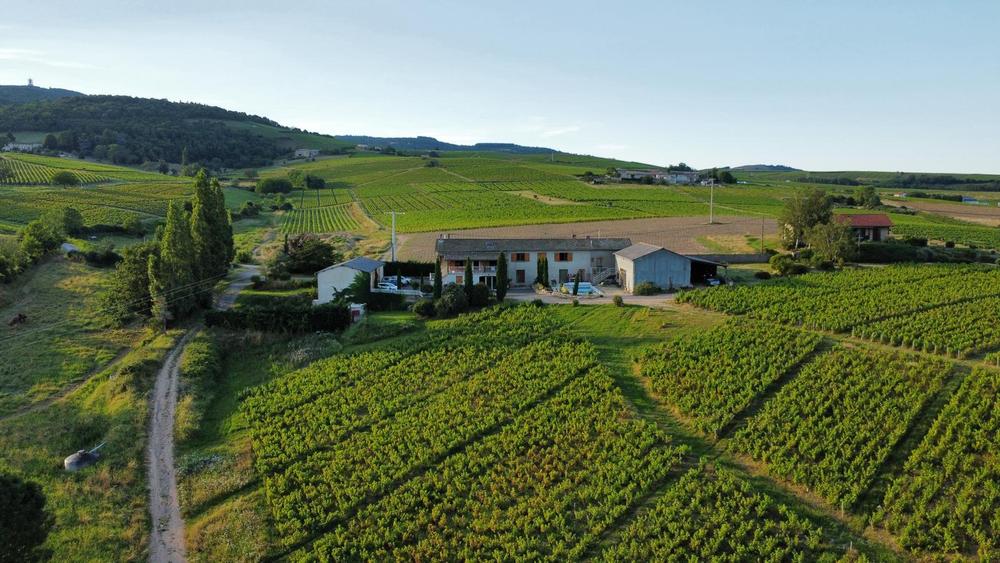 Vue arienne du domaine