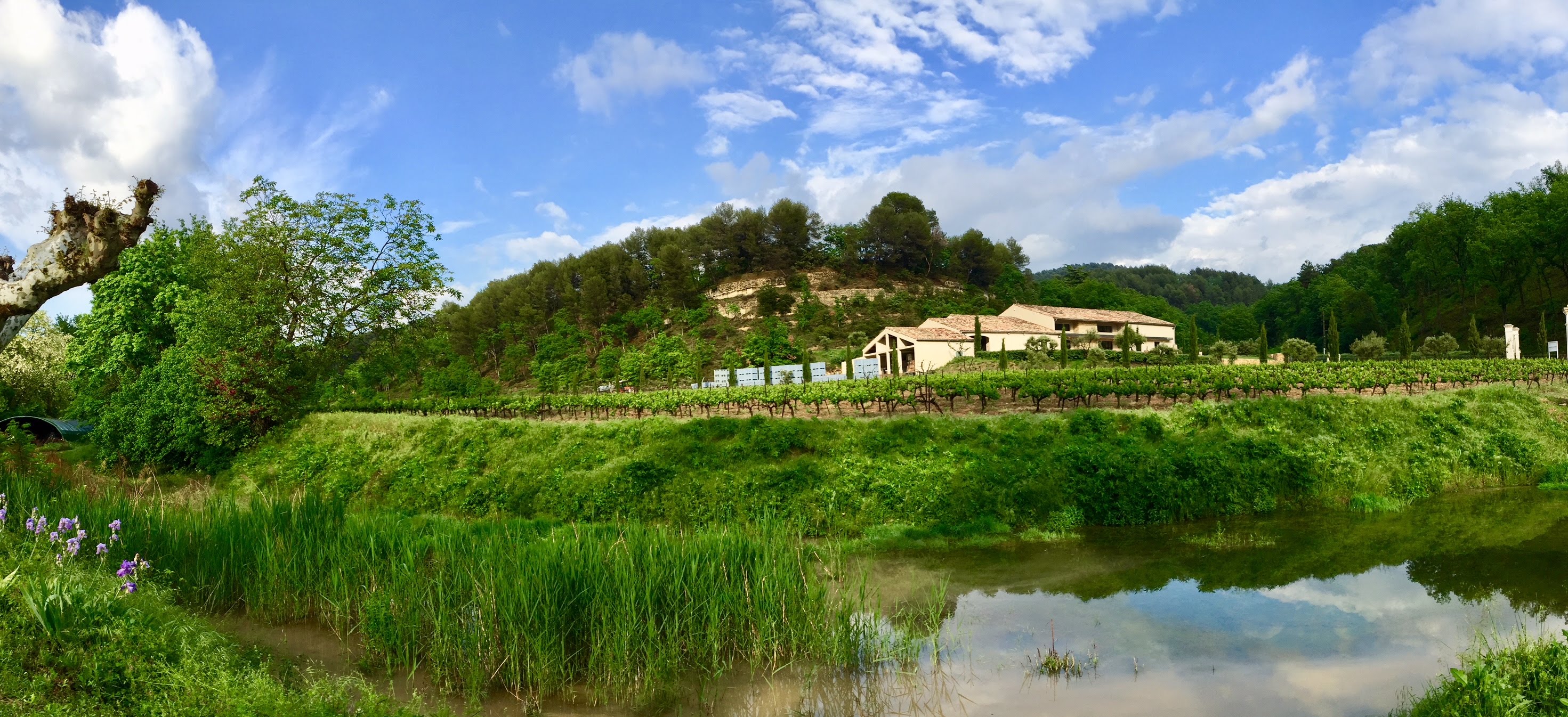Moulin à Huile D olive Bio Domaine Bastide Du Laval Moulin à Huile & Domaine Bastide du Laval (Cadenet) | Provence-Alpes-Côte d'Azur  Tourism