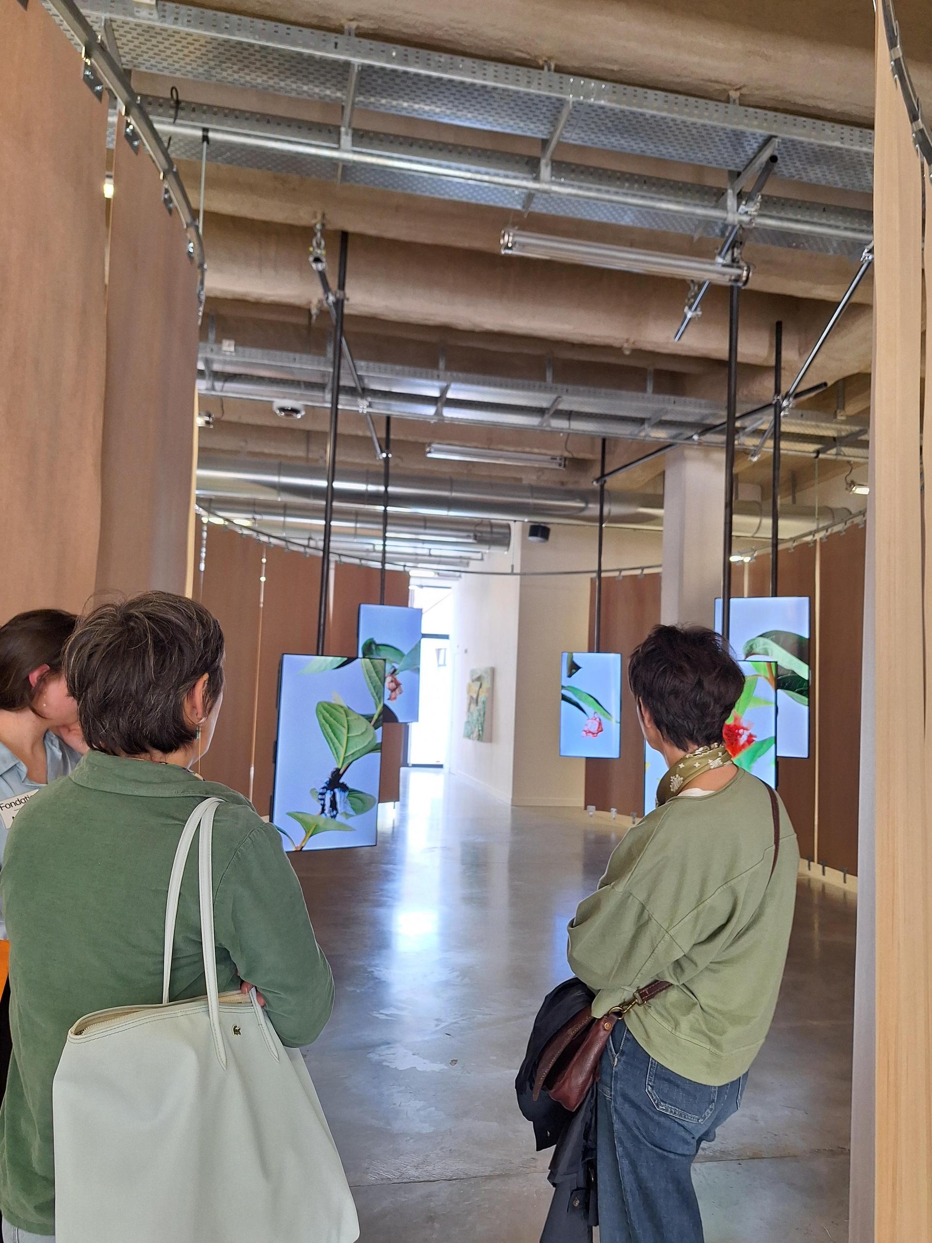 JEP | Visite guidée de l'exposition Le Singe et l'Argile et Plactonarium
