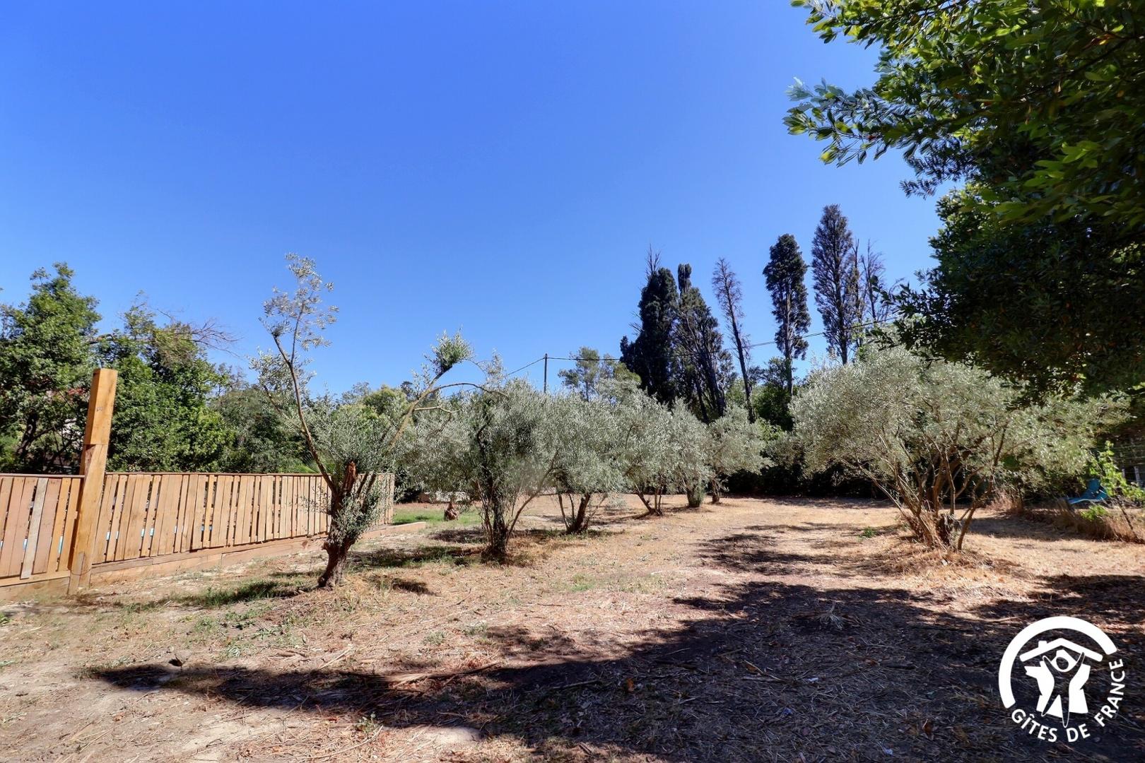 Mas des Lilas - Chez Coba - photo 3