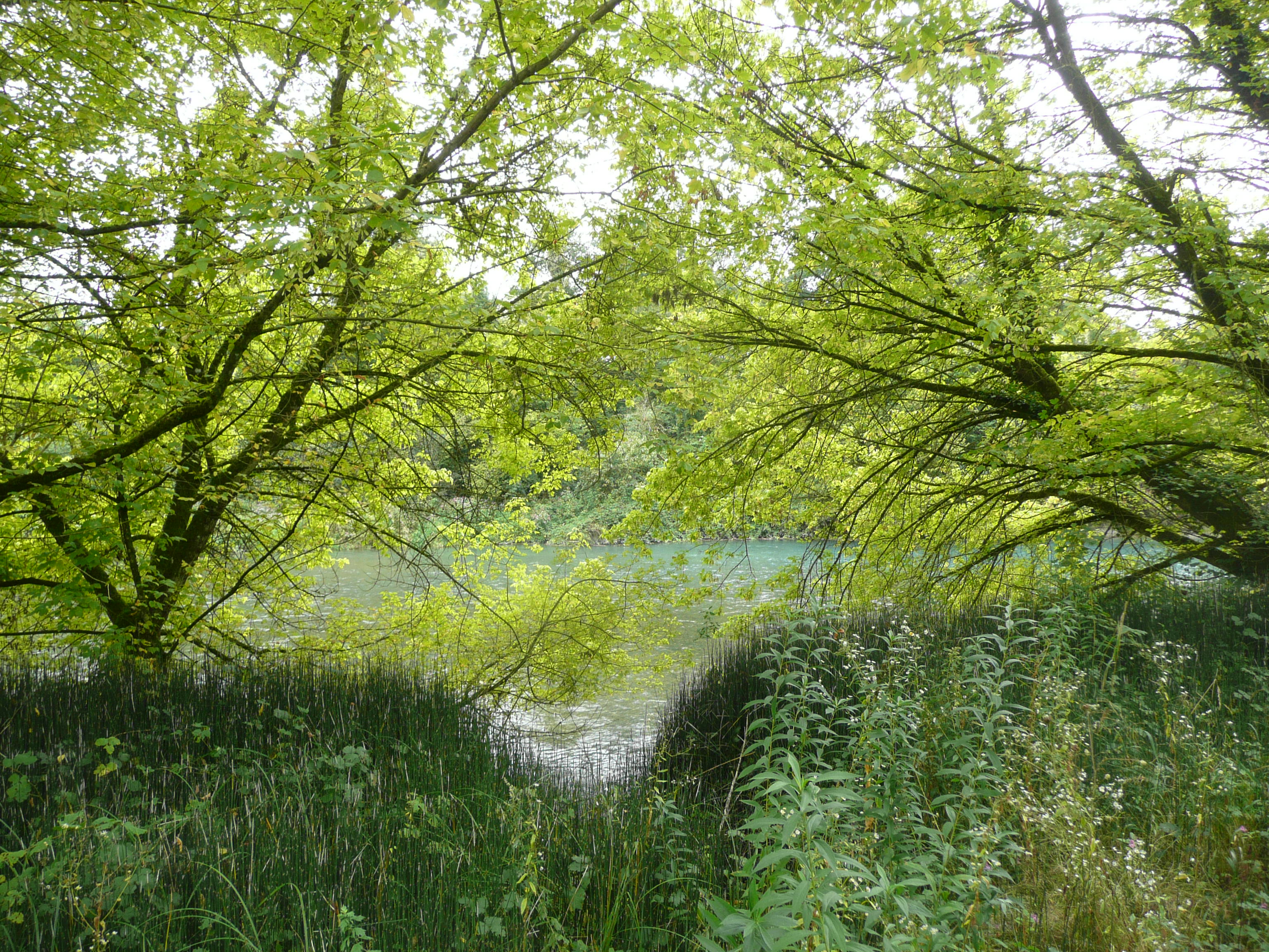 sentier envirhôna  - Les Avenières-Veyrins-Thuellin - Balcons du Dauphiné - Nord-Isère - à moins d'une heure de Lyon