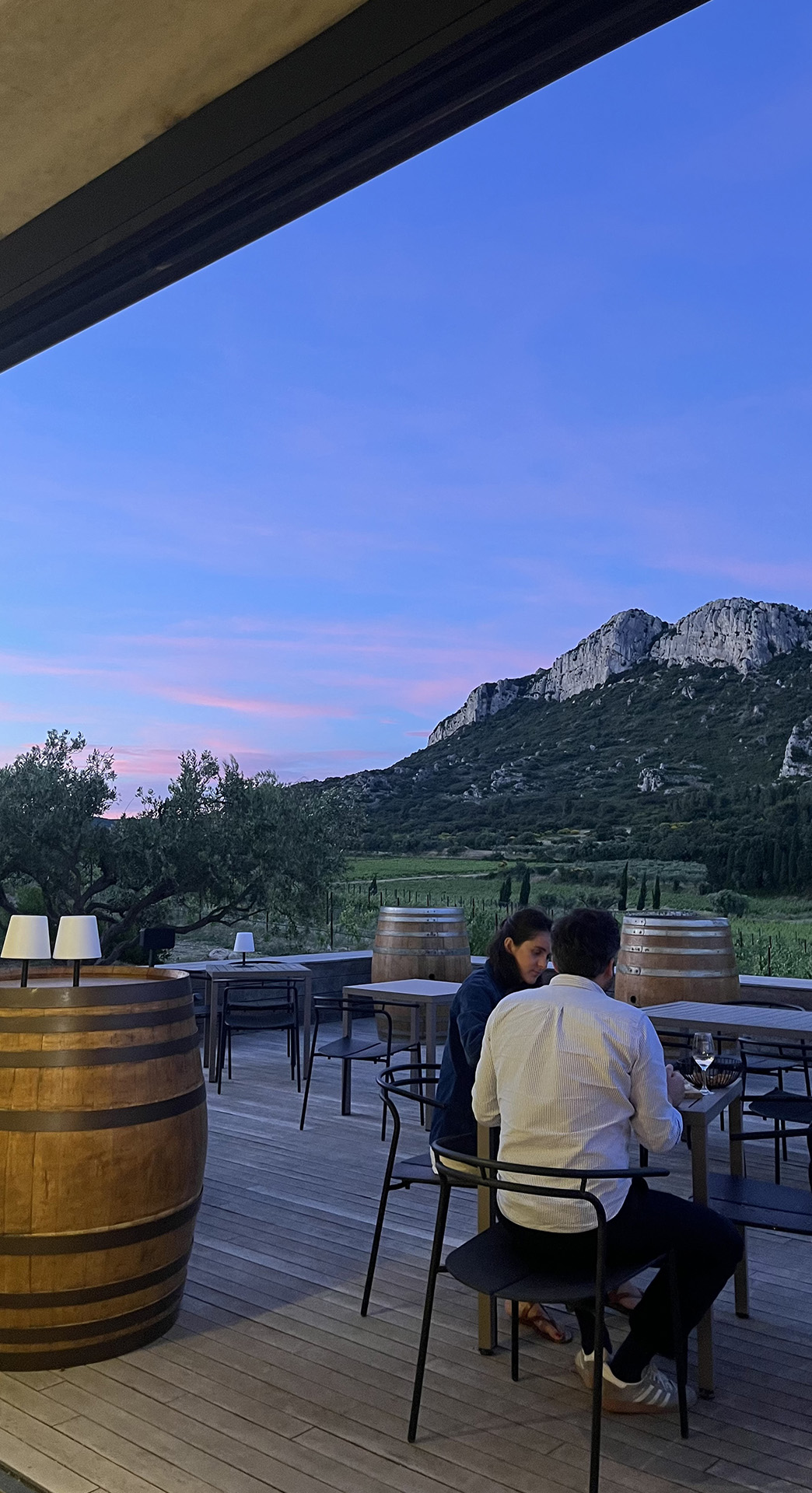 La Terrasse du Vallon des Glauges, Eyguières - photo 7