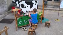 La ferme aux animaux_Grenoble