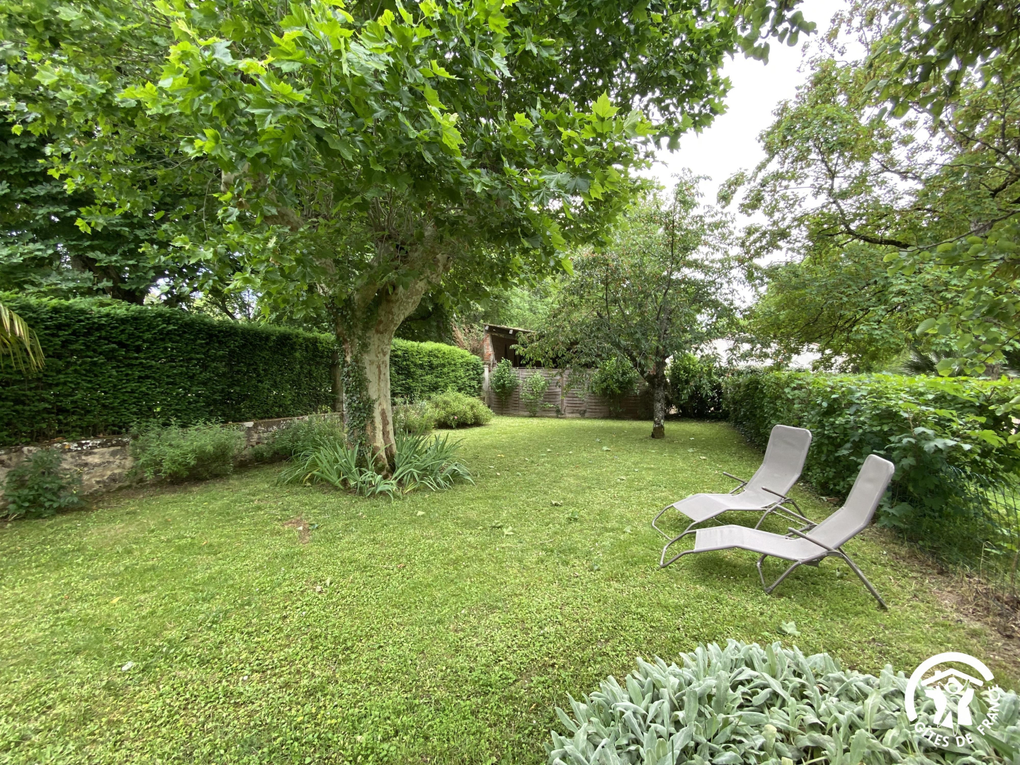 G1269.jpg