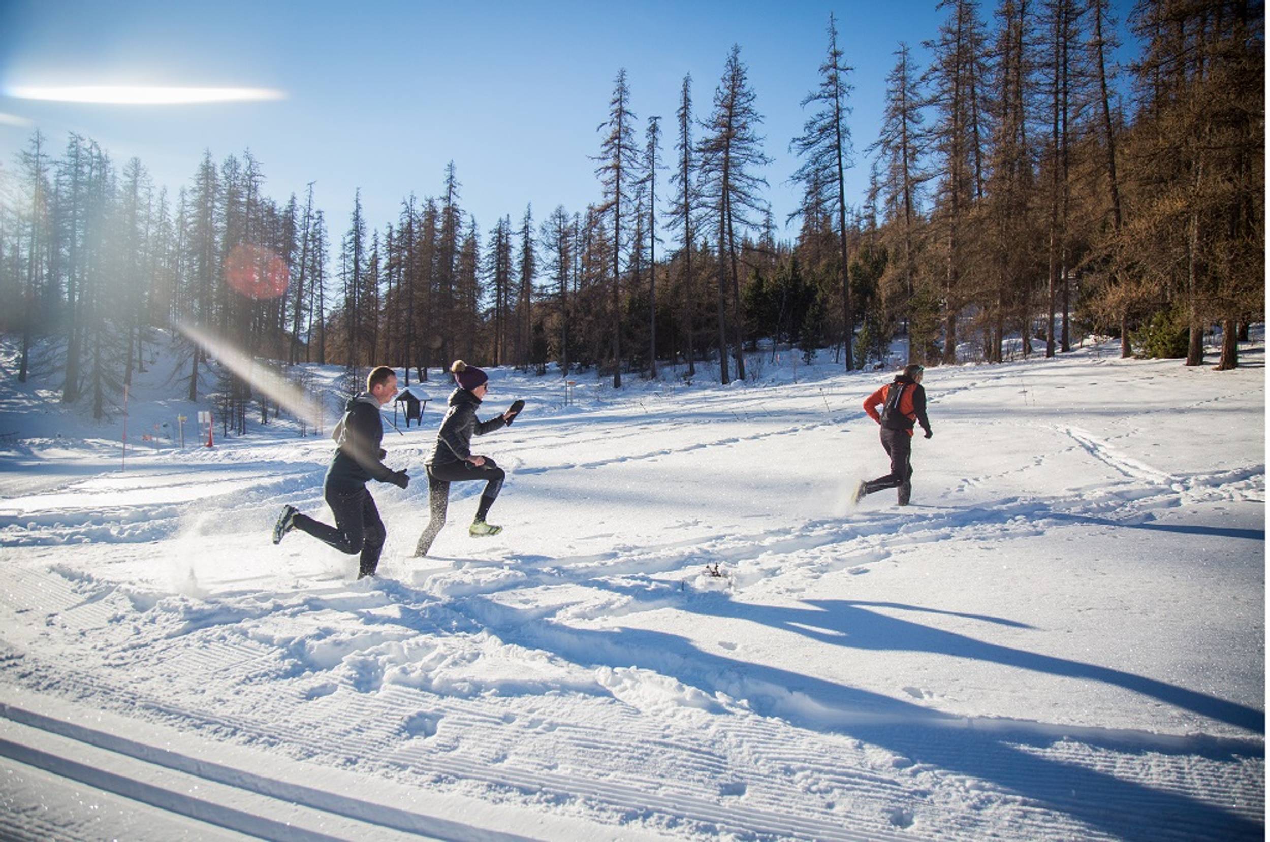Snow Trail: Le Plan