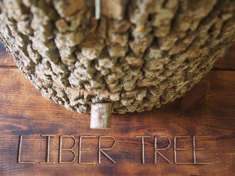 Association LIBERTREE 