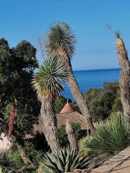 Domaine du Rayol, Le Jardin des Méditerranées_Rayol-Canadel Sur Mer