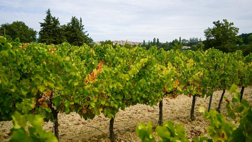 Itinéraire pédestre 