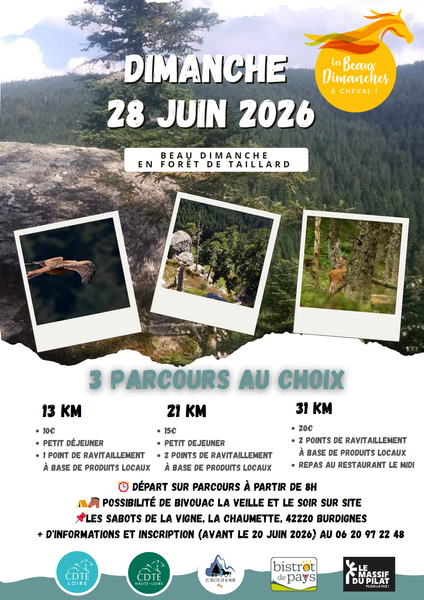 Sortie équestre "Beau dimanche en forêt de Taillard"_Burdignes