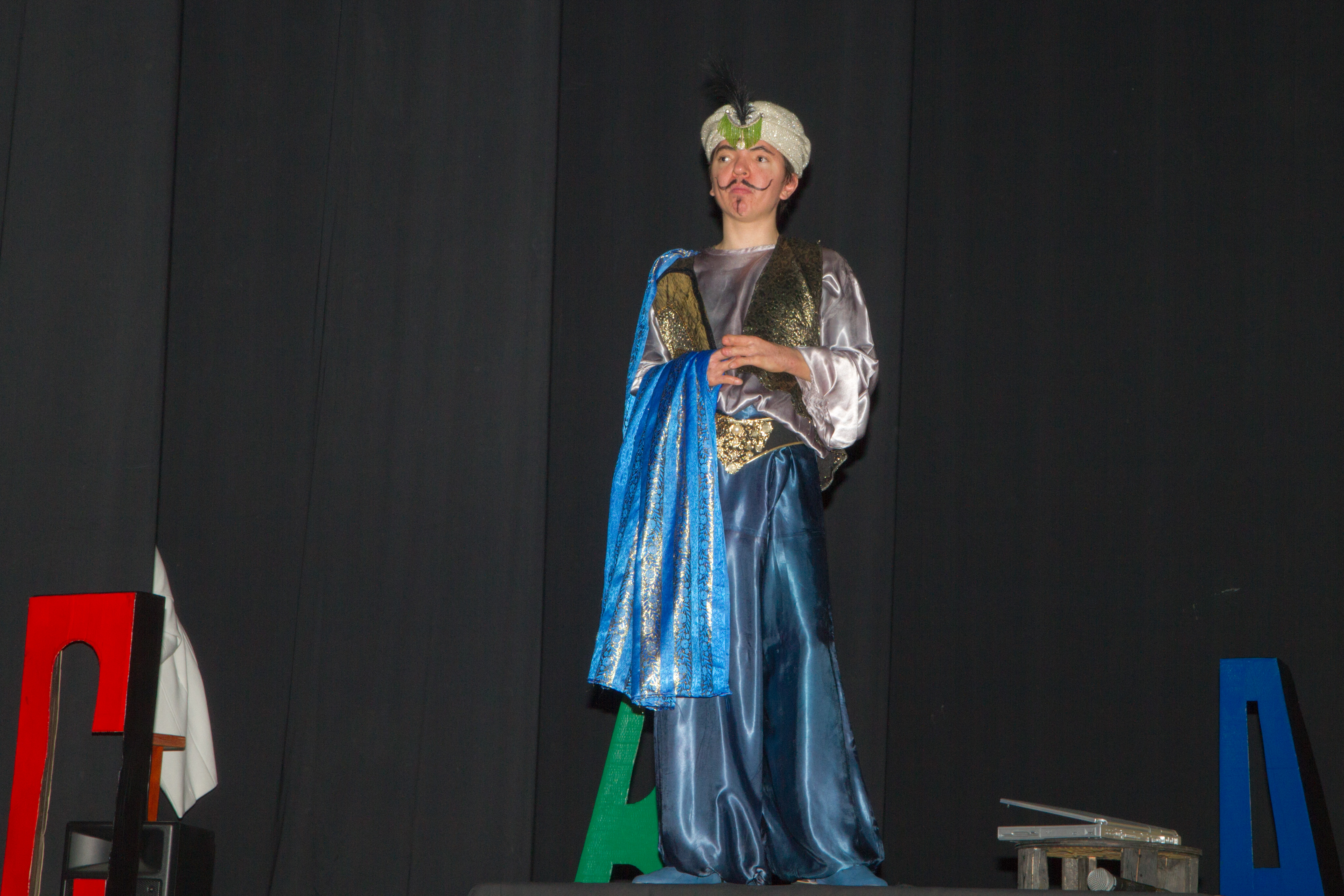 Concerts, Spectacles et Théâtre