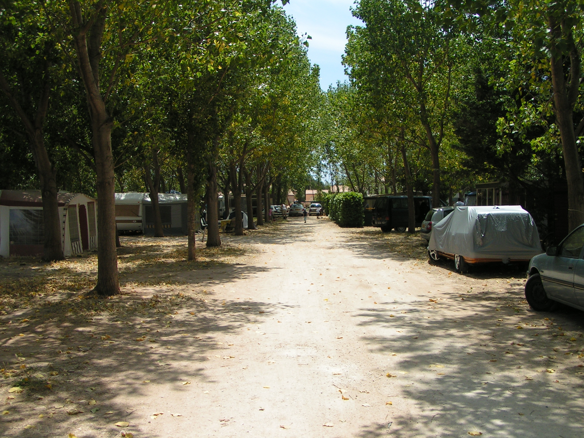 Les Colonnes — photo 3