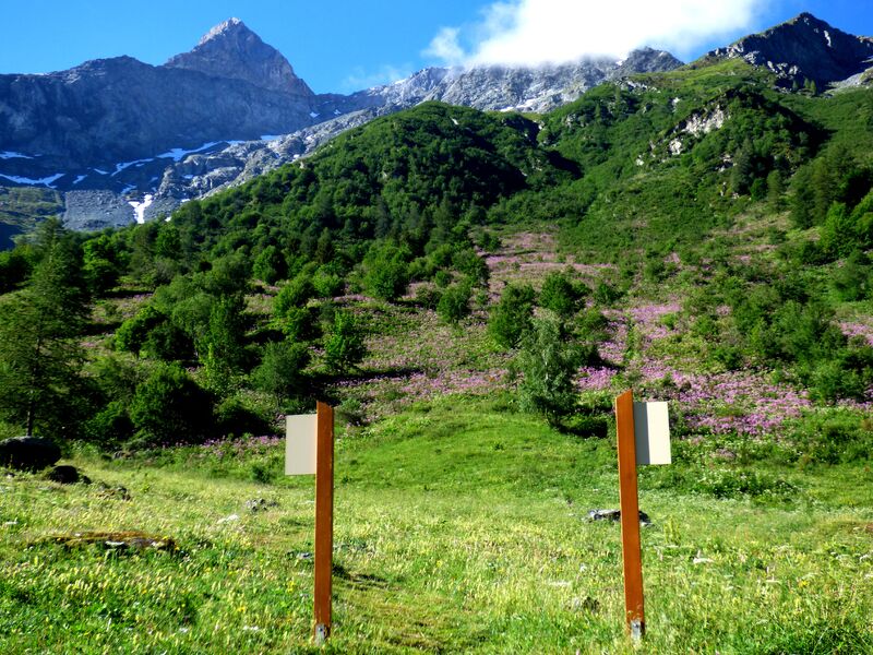 sentier lecture depaysage Rosuel