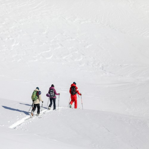 Ski de randonne nordique avec l'ESF sur le Plateau de Retord