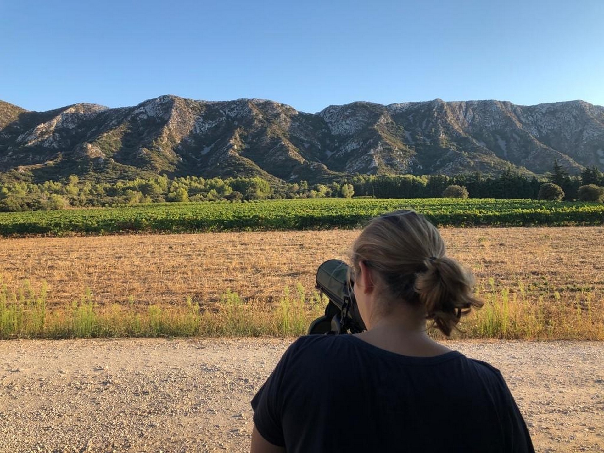 Guide naturaliste Cécile Beillieu, Saint-Rémy-de-Provence - photo 2