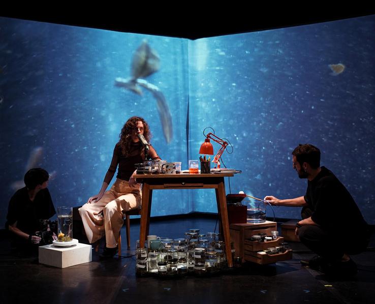 Matcha Girl - Festival  Confit !_Cavaillon