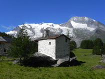 Visite guidée : le Monal entre nature et patrimoine Haute Savoie
