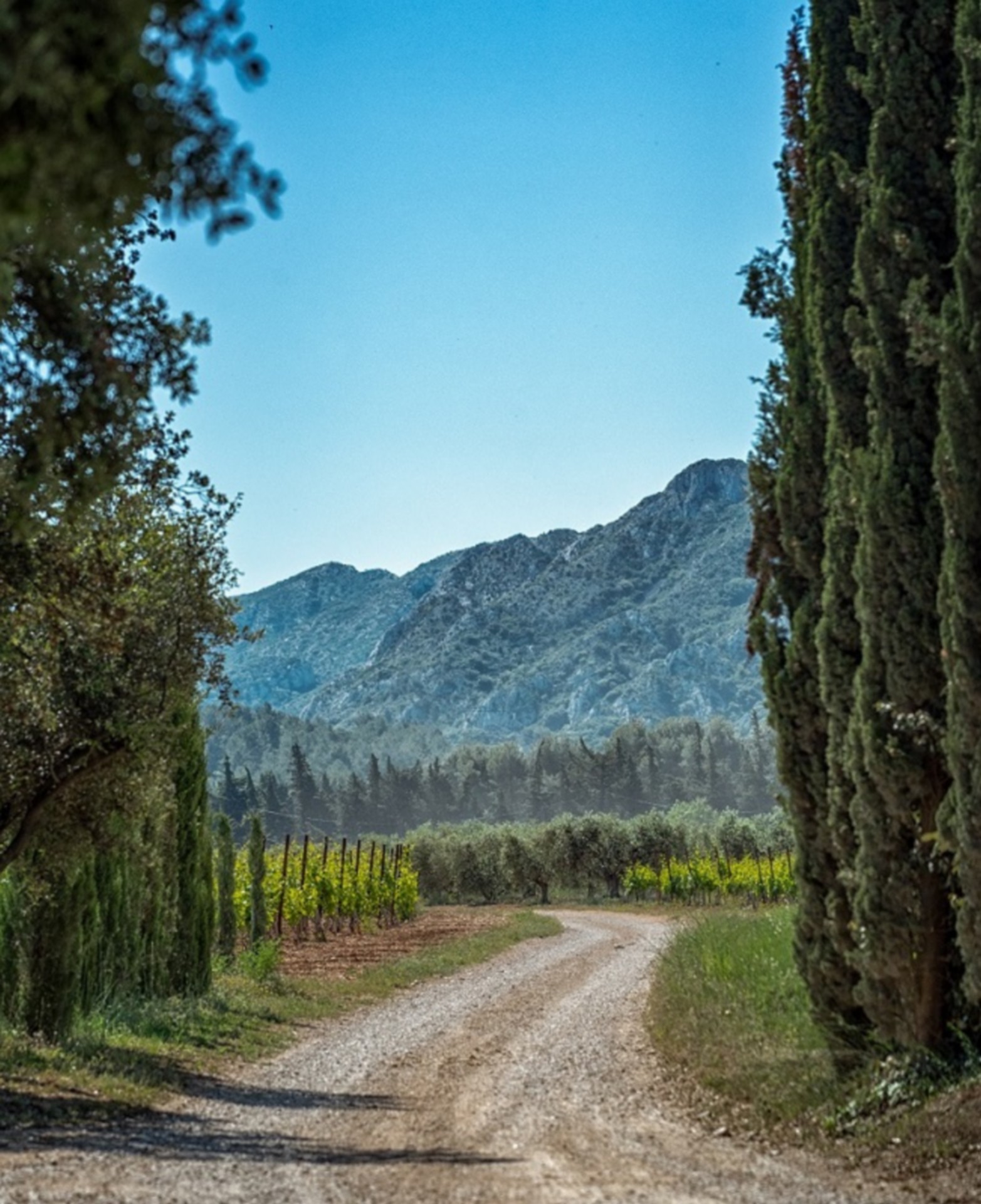 Domaine d'Eole — photo 3