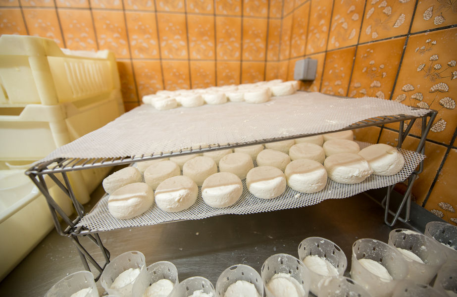 Chèvrerie du Colombier