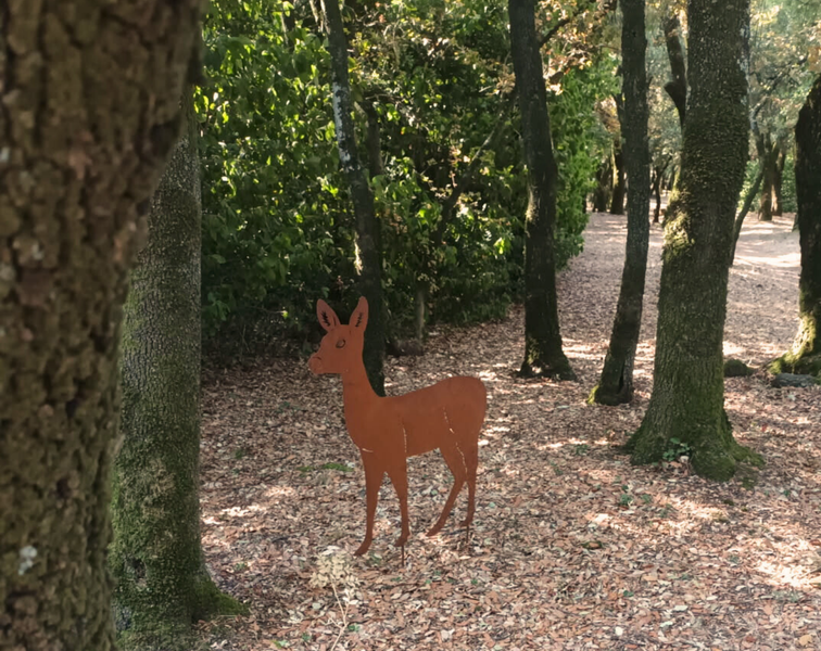 A la recherche des animaux de la garenne