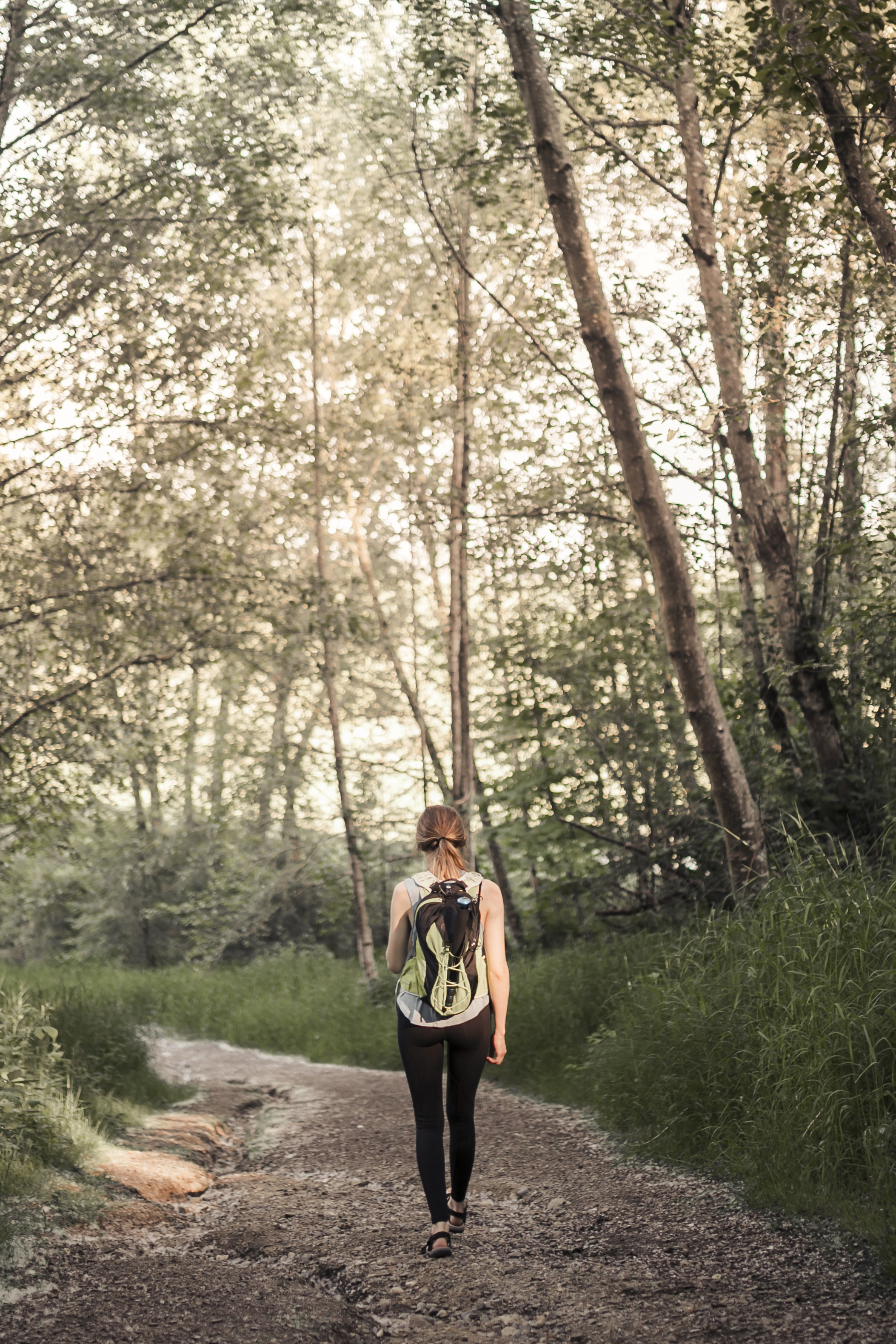 Femme marchant seule dans la forêt