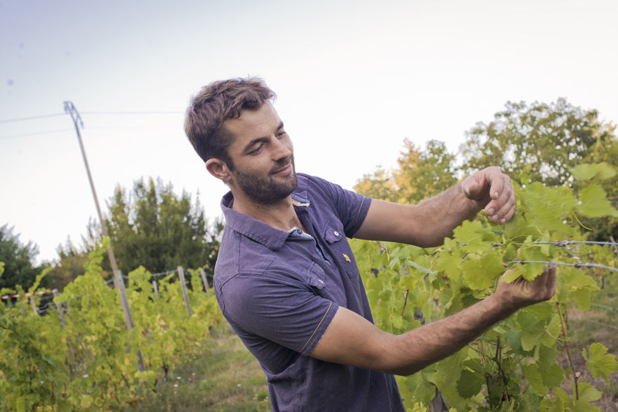 Rencontre vigneronne - Domaine des Ardaillons