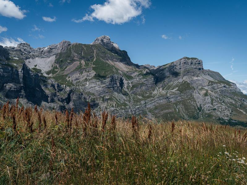 Boucle pédestre des Bénés_Cordon