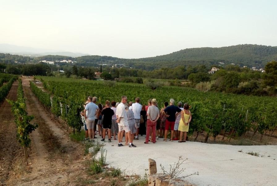 Visite oenoludique