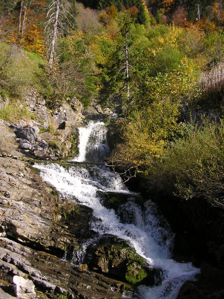 Cascade du Pas du Roc
